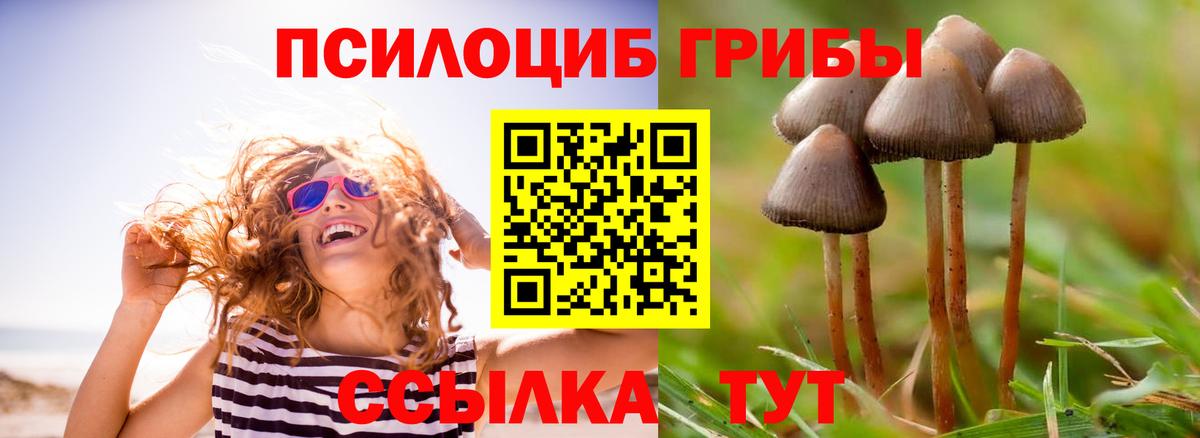 Галлюциногенные грибы мухоморы  Вход с VPN  Псилоцибиновые грибы MAGIC MUSHROOMS  Абинск 